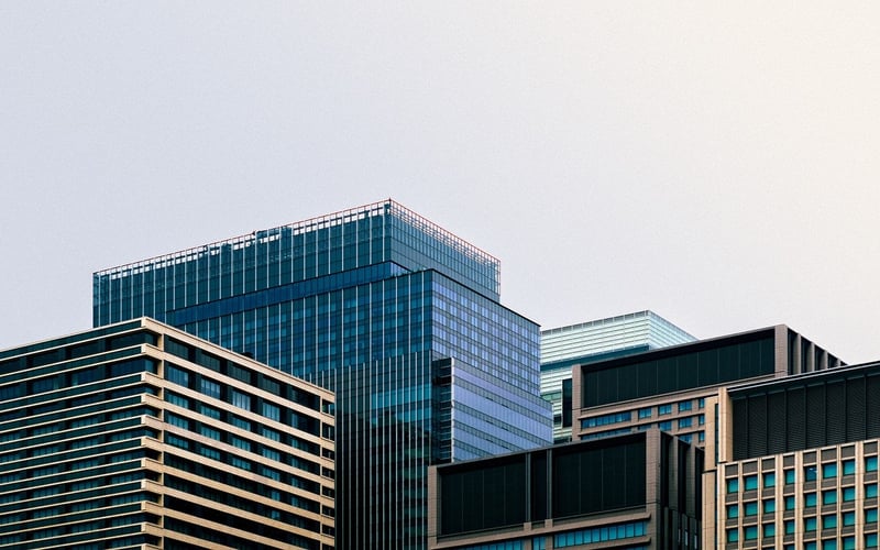 City Bloom Urban Agriculture